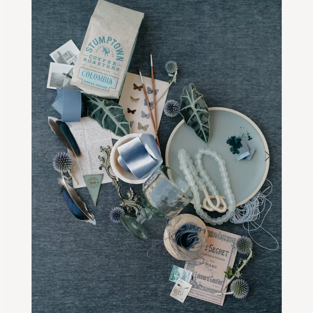 Chasing Stone Echeveria Textured Velvet Flat Lay Backdrop